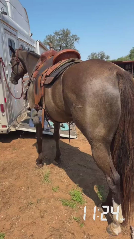 Hoof Shield